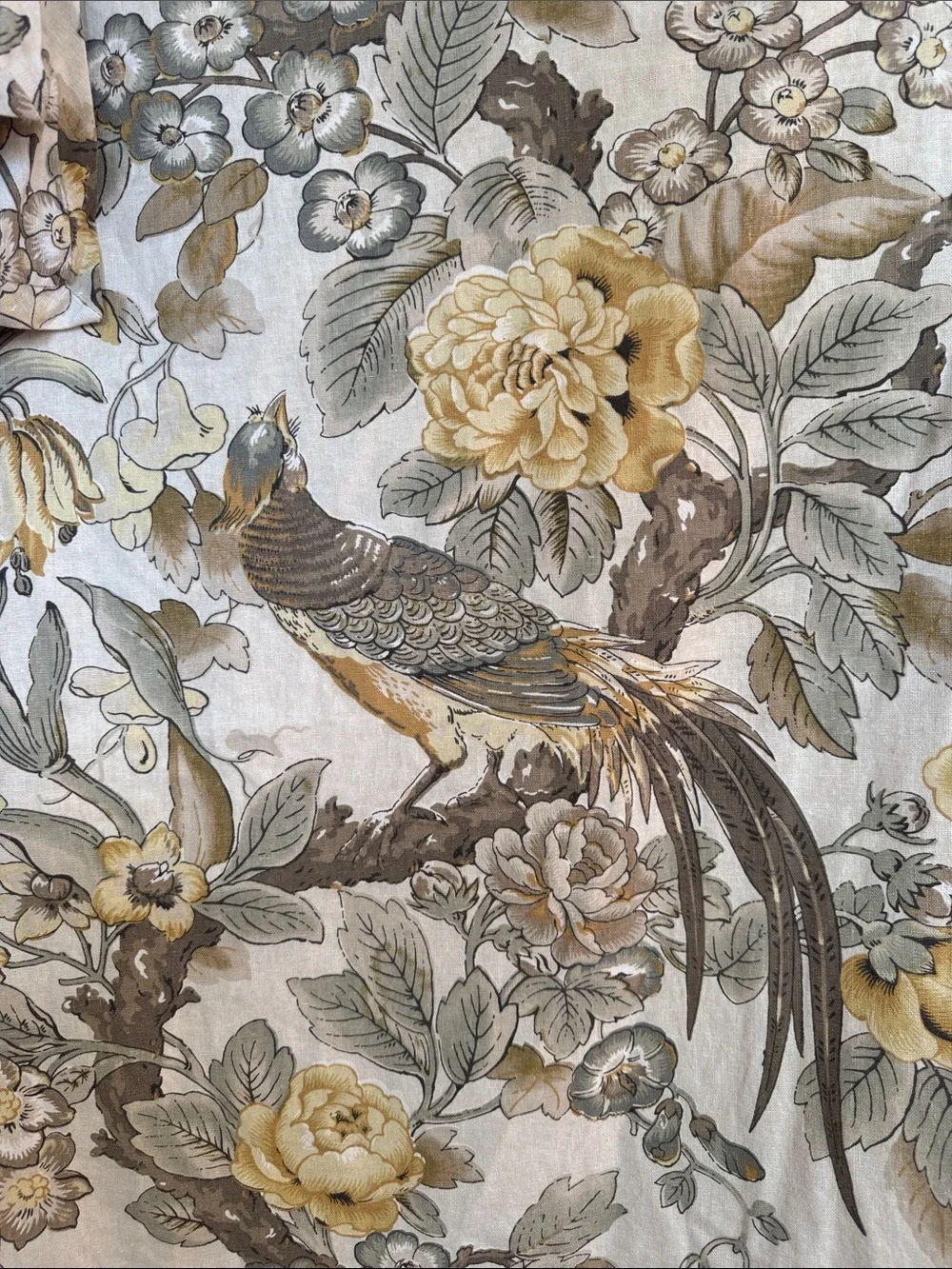 Elegant Pottery Barn, Chinoiserie, Linen, Peacock, Queen Duvet, Sham Set  EUC